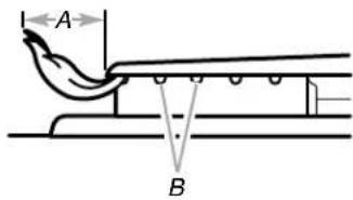 A B