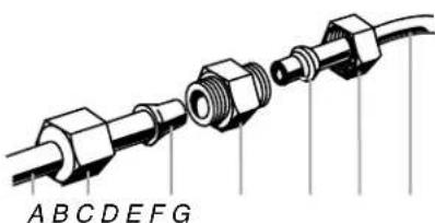 ABCDEFG