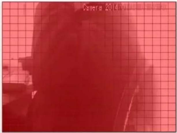 Camera 2014