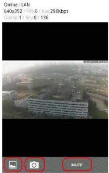 Online / LAN 640x352 / FPS 6 / bps 290Kbps Online:1 / Rev.0 / 136 MUTE
