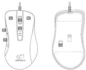 Cougar 300M - INTRODUCTION - 1