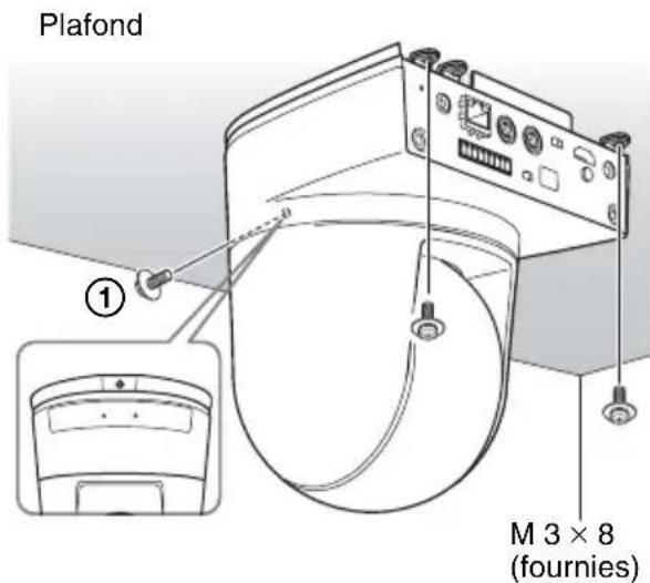 SONY SRG-300HW - Remarque - 2