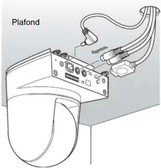 Plafond