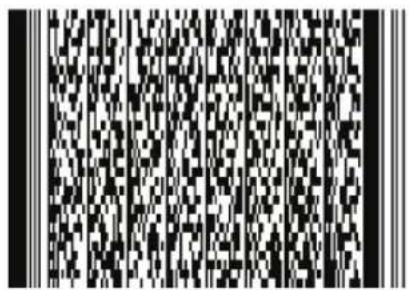Black and white QR code image with vertical alignment markers
