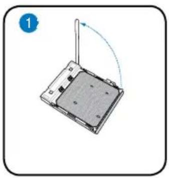ASUS V2-M2NC61P - Installer le AMD CPU - 1