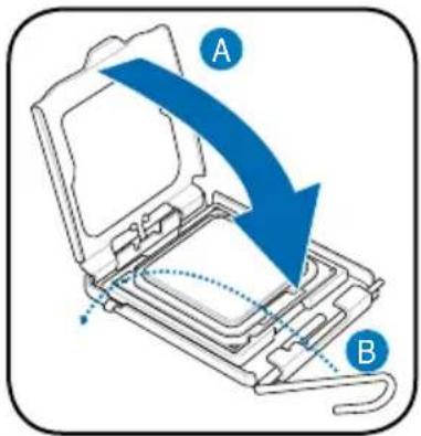 A B