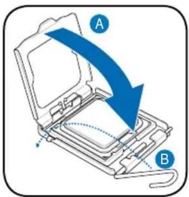 A B