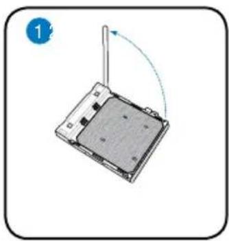 ASUS V2-M2NC61P - Installing an AMD CPU - 1