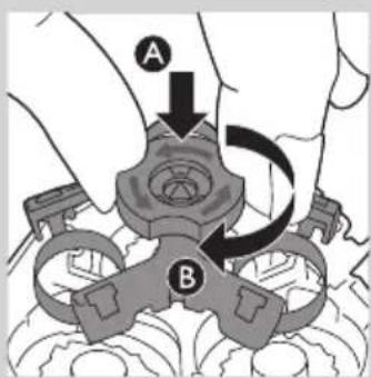 A B