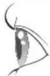 PANASONIC EHSE60VP - Curl the tips. - 3