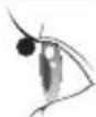 PANASONIC EHSE60VP - Relevez les cils depuis la ligne des cils. - 1
