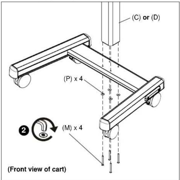 (C) or (D) (P) x 4 (M) x 4 2 (Front view of cart)