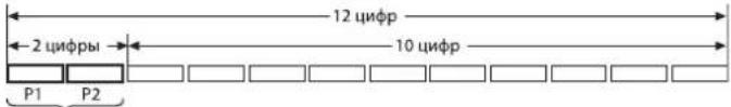 12 цифр 2 цифры 10 цифр P1 P2