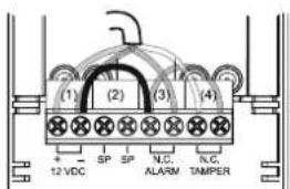 (1) (2) (3) (4) + - SP SP N.C. ALARM N.C. TAMPER 12 VDC