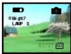 *Bright7 LAMP 0 03727 SD