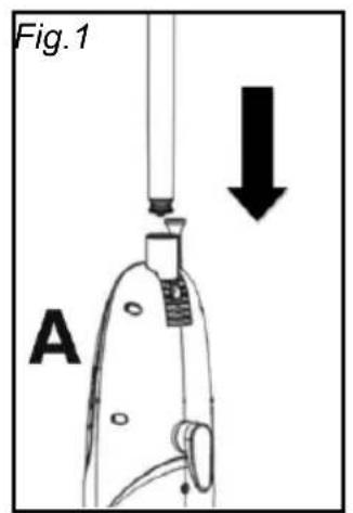 Fig. 1 A