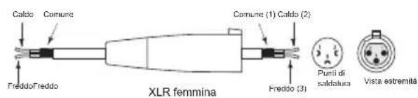 Caldo Comune Freddo Freddo Comune (1) Caldo (2) Freddo (3) XLR femmina Punti di saldatura Vista estremita