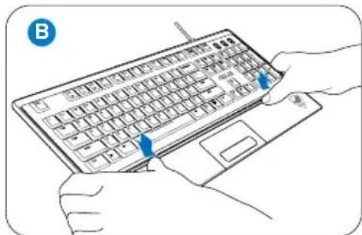Illustration of hands typing on a keyboard with blue arrows indicating finger placement (no text or symbols present).