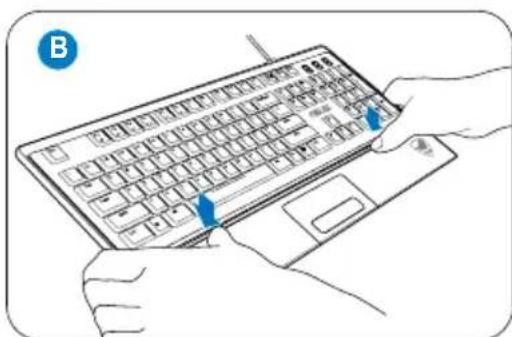 Illustration of hands typing on a keyboard with a blue cursor pointing to the mouse (no text or symbols present).