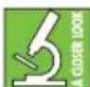 MACKIE 402VLZ4 - Low Cut (Ch. 1–2) - 1