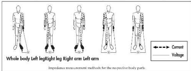 Whole body Left legRight leg Right arm Left arm Impedance measurement methods for the respective body parks. ←→ Current ——— Voltage