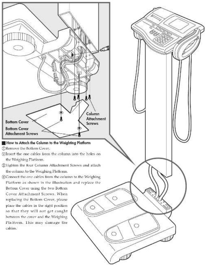 Bottom Cover Bottom Cover Attachment Screws Column Attachment Screws How to Attach the Column to the Weighting Platform ①Remove the Bottom Cover. ②Insert the one cables from the column into the holes on the Weighing Platform. ③Lighten the four Column Attachment Screws and attach the column to the We…