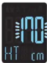 170 HT cm