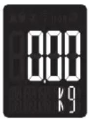 0.00 0.00 K9