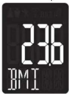 236 BMI