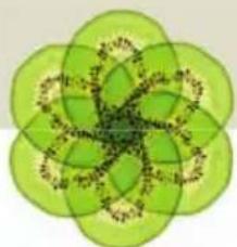 Abstract green floral pattern with interlocking petals and central motif (no text or symbols)
