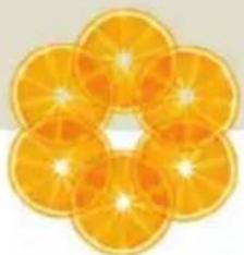 Close-up of a flower's six slices of oranges with visible petals and center (no text or symbols)