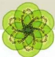Abstract green floral pattern with interlocking petals and central motif (no text or symbols)