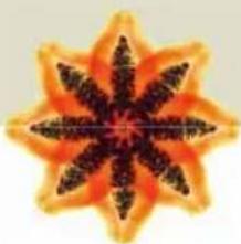 Symmetrical orange and black starburst pattern resembling a stylized flower or snowflake (no text or symbols)