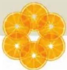 Close-up of a flower-shaped arrangement of sliced oranges with visible petals and center (no text or symbols)