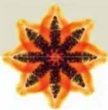 Symmetrical orange and black starburst pattern resembling a stylized flower or star (no text or symbols)
