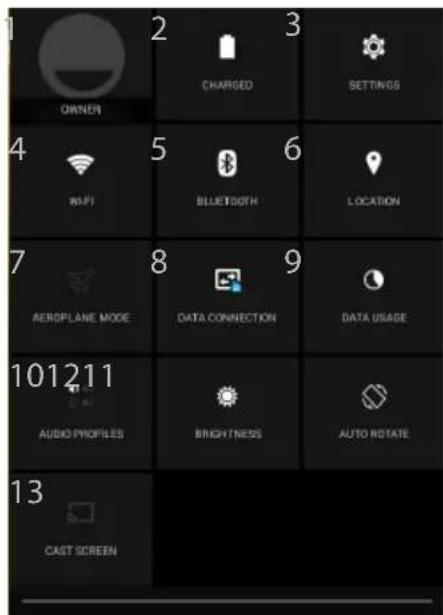 PROPRIETARIO CARICATO IMPOSTAZIONI 4 WIFI 5 BLUETOOTH 6 POSIZIONE 7 MODALITÀ AEREO 8 CONNESSIONE DATI 9 UTILIZZO DATI 10 PROFILI AUDIO LUMINOSITÀ ROTAZIONE AUTOMATICA 13 SCHERMATA CAST