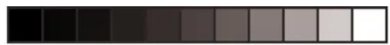 ARCHOS Xenon 101 Lite - National restrictions - 2