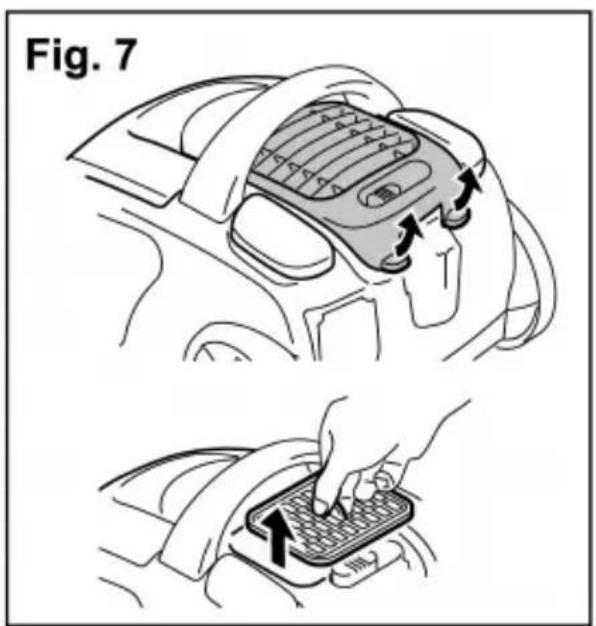 Fig. 7