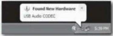 Found New Hardware USB Audio CODEC $20 PM