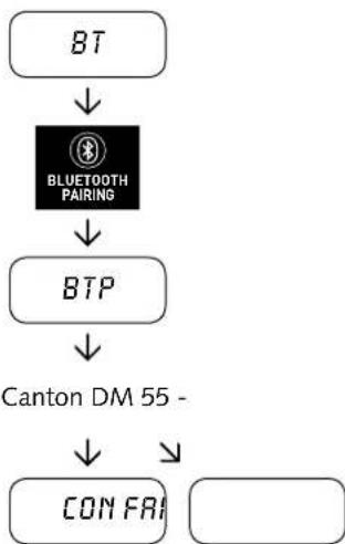 CANTON DM 55 - Registration process - 2
