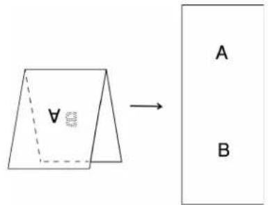 A B