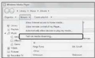 Adobe Media Player Organics Library Playoffs Music Add Delete Genre Video Picture Recorded TV Show Internet access to home media... Show remote control of my Players... Automatically allow devices to play my media... Turn on media dreaming...