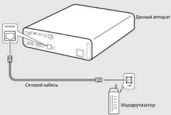 Данный аппарат Сетевой кабель Маршрутизатор
