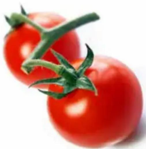 MAGIMIX Le Blender 11612 - Chutney tomate chili - 1