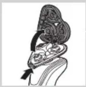 PHILIPS Series 5000 S5230 - Asendamise meeldetuletus - 2