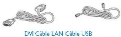 Two cable types: DVI Cable LAN Cable USB, shown in two different orientations (no text or symbols on the cables themselves)