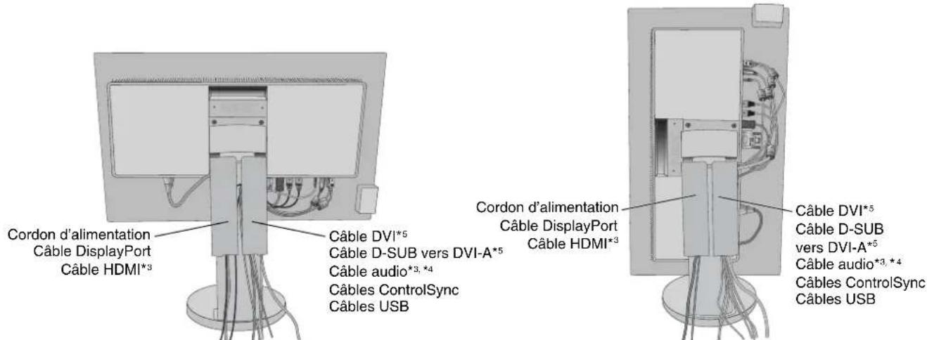 Cordon d'alimentation Câble DisplayPort Câble HDMI*3 Câble DVI*5 Câble D-SUB vers DVI-A*5 Câble audio*3, *4 Câbles ControlSync Câbles USB Cordon d'alimentation Câble DisplayPort Câble HDMI*3 Câble DVI*5 Câble D-SUB vers DVI-A*5 Câble audio*3, *4 Câbles ControlSync Câbles USB