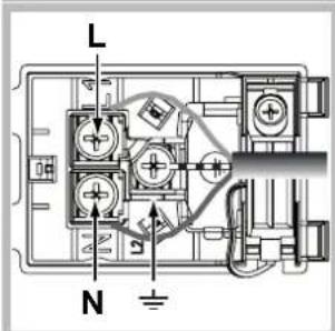 L N