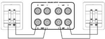 Diagram showing a device with 12 circular components connected to two terminals, each labeled with positive and negative polarity indicators.