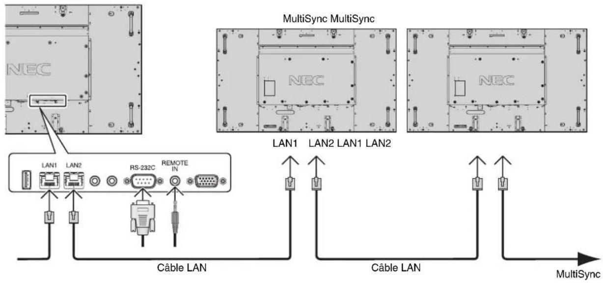 MultiSync MultiSync NEC LAN1 LAN2 LAN1 LAN2 LAN1 LAN2 LAN1 LAN2 RS-232C REMOTE IN Câble LAN Câble LAN MultiSync